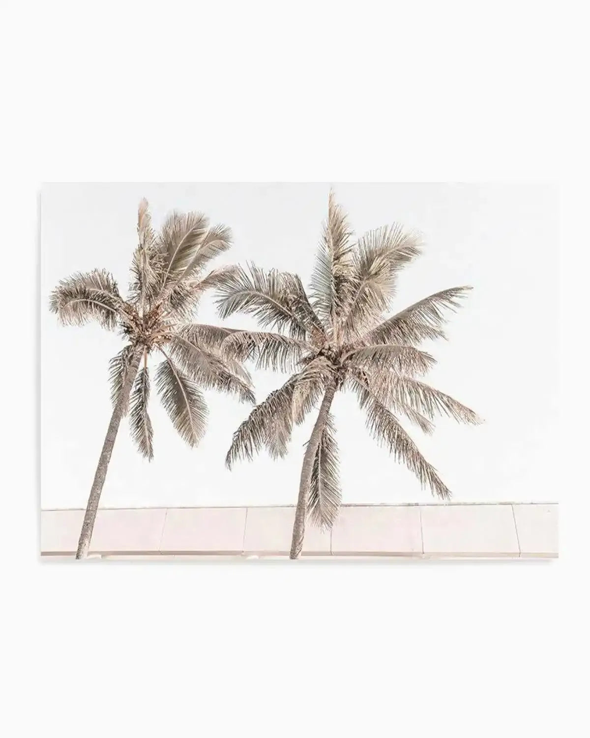 Palm Resort III Art Print from Olive et Oriel where you can shop wallpaper and artworks online