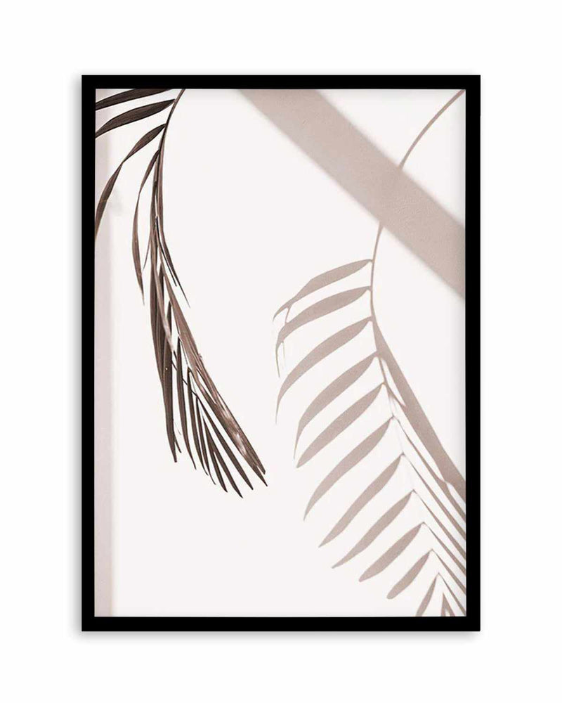 Palm Shadow II Art Print
