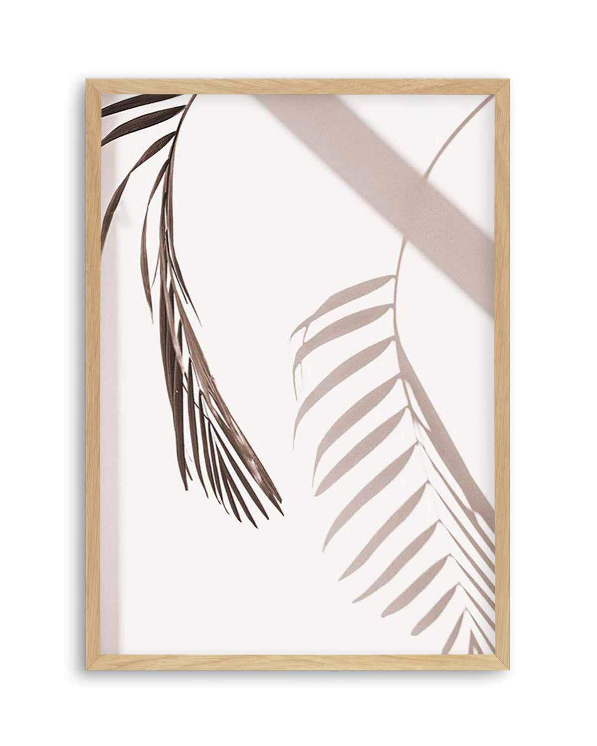 Palm Shadow II Art Print