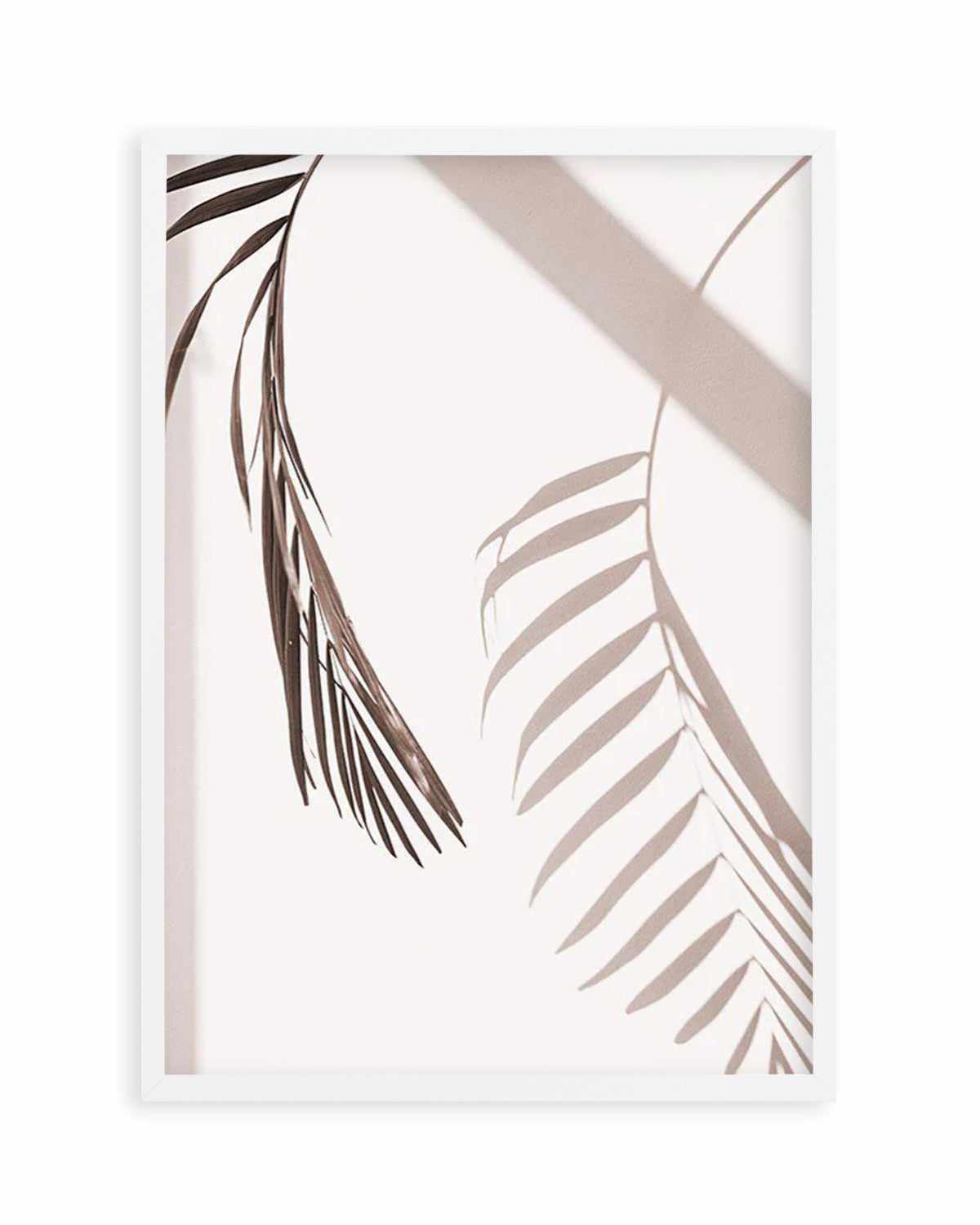 Palm Shadow II Art Print