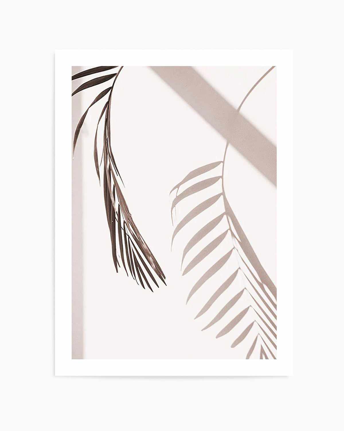 Palm Shadow II Art Print