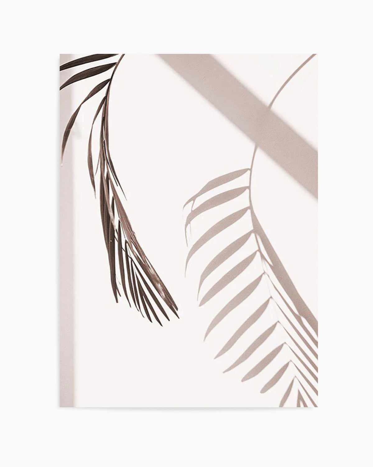 Palm Shadow II Art Print