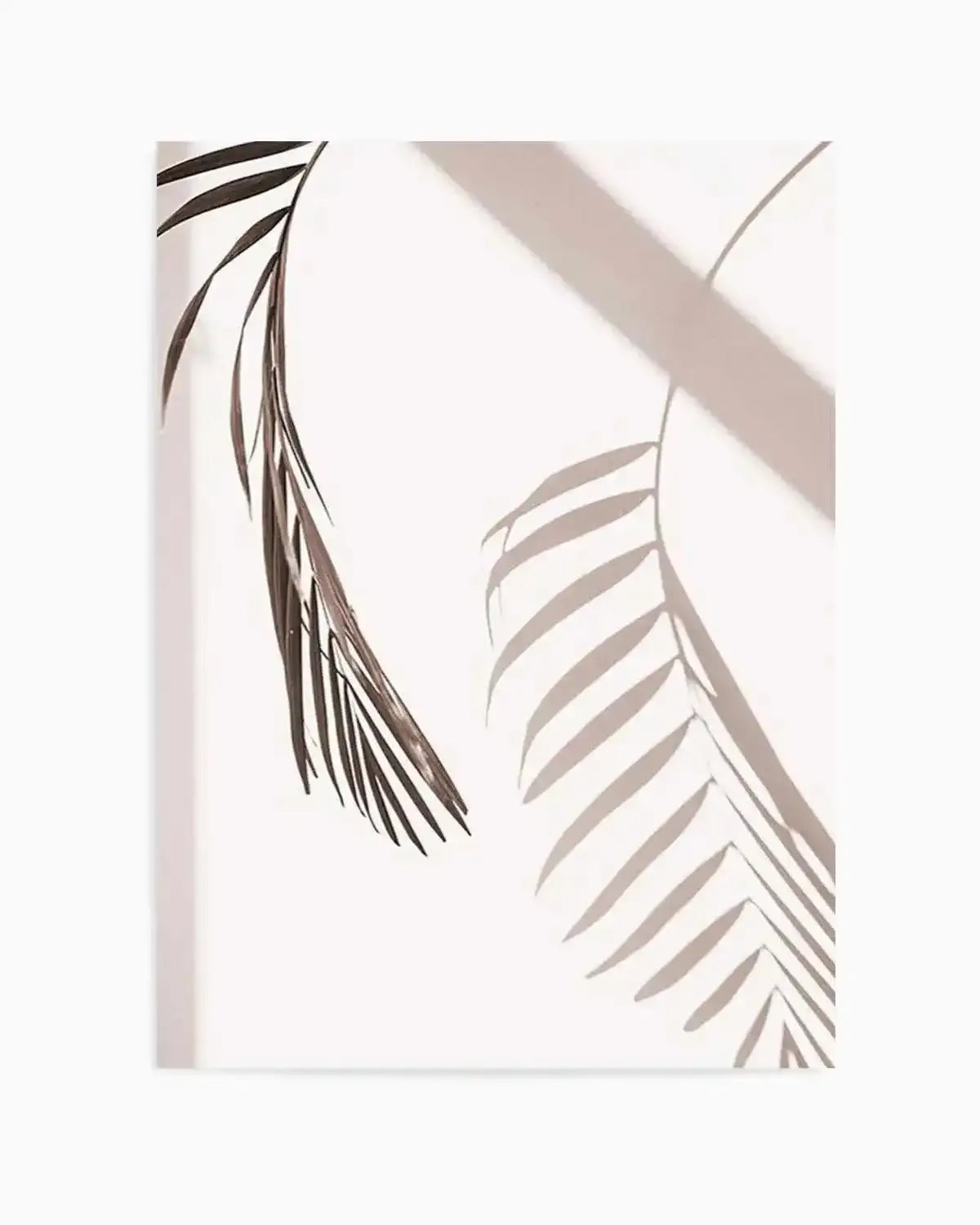 Palm Shadow II Art Print from Olive et Oriel where you can shop wallpaper and artworks online