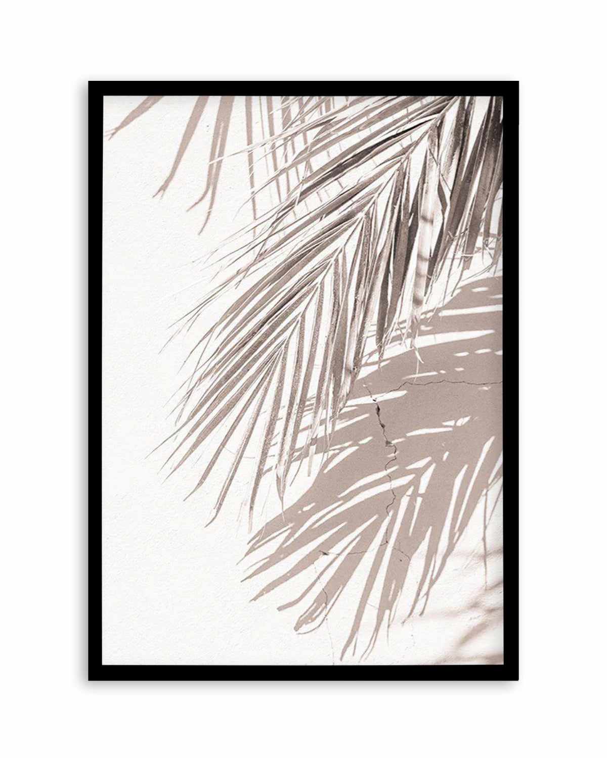 Palm Shadow III Art Print