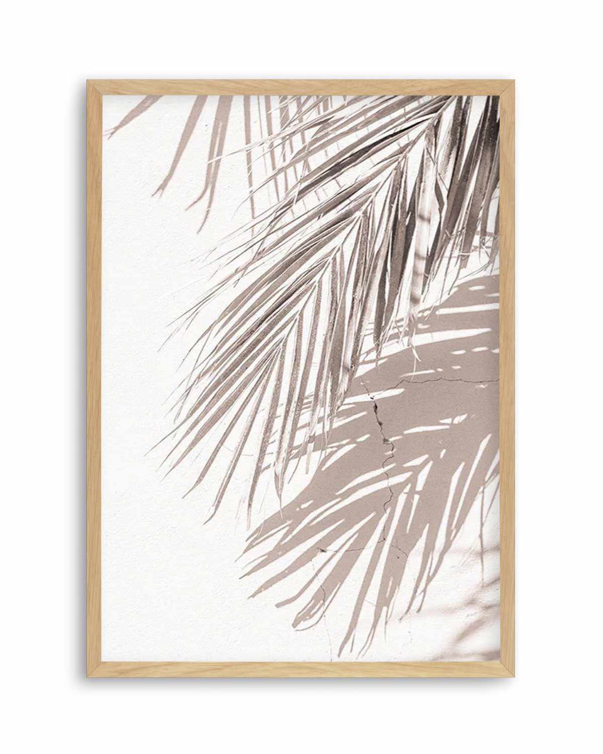 Palm Shadow III Art Print