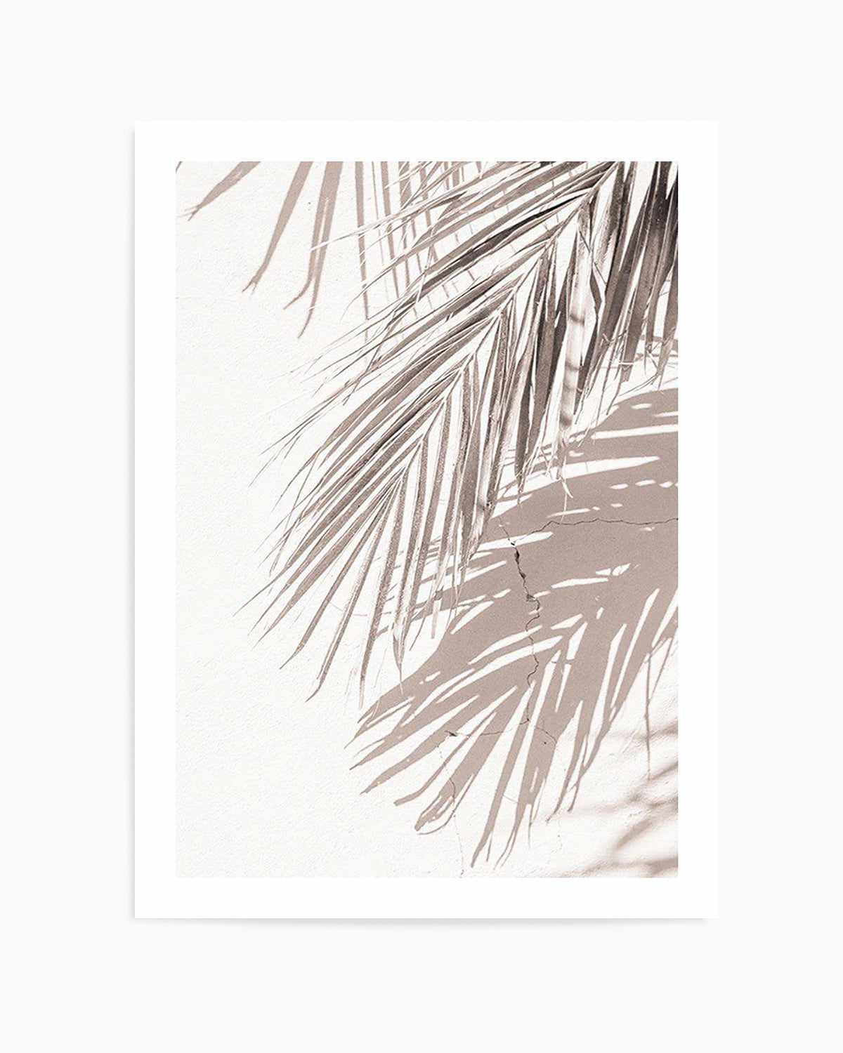 Palm Shadow III Art Print