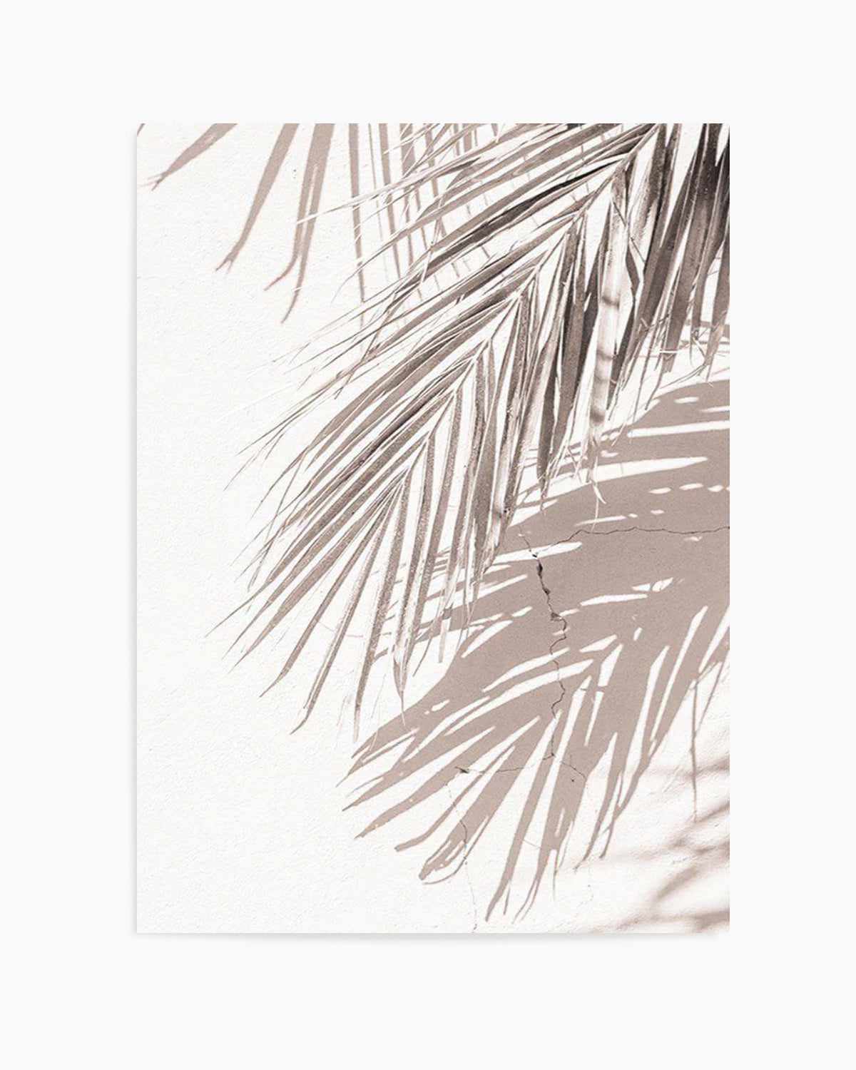 Palm Shadow III Art Print