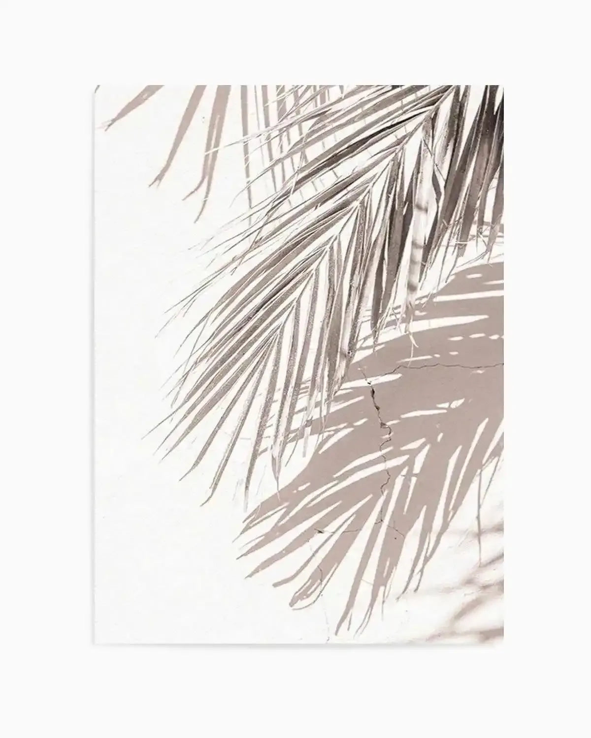 Palm Shadow III Art Print from Olive et Oriel where you can shop wallpaper and artworks online
