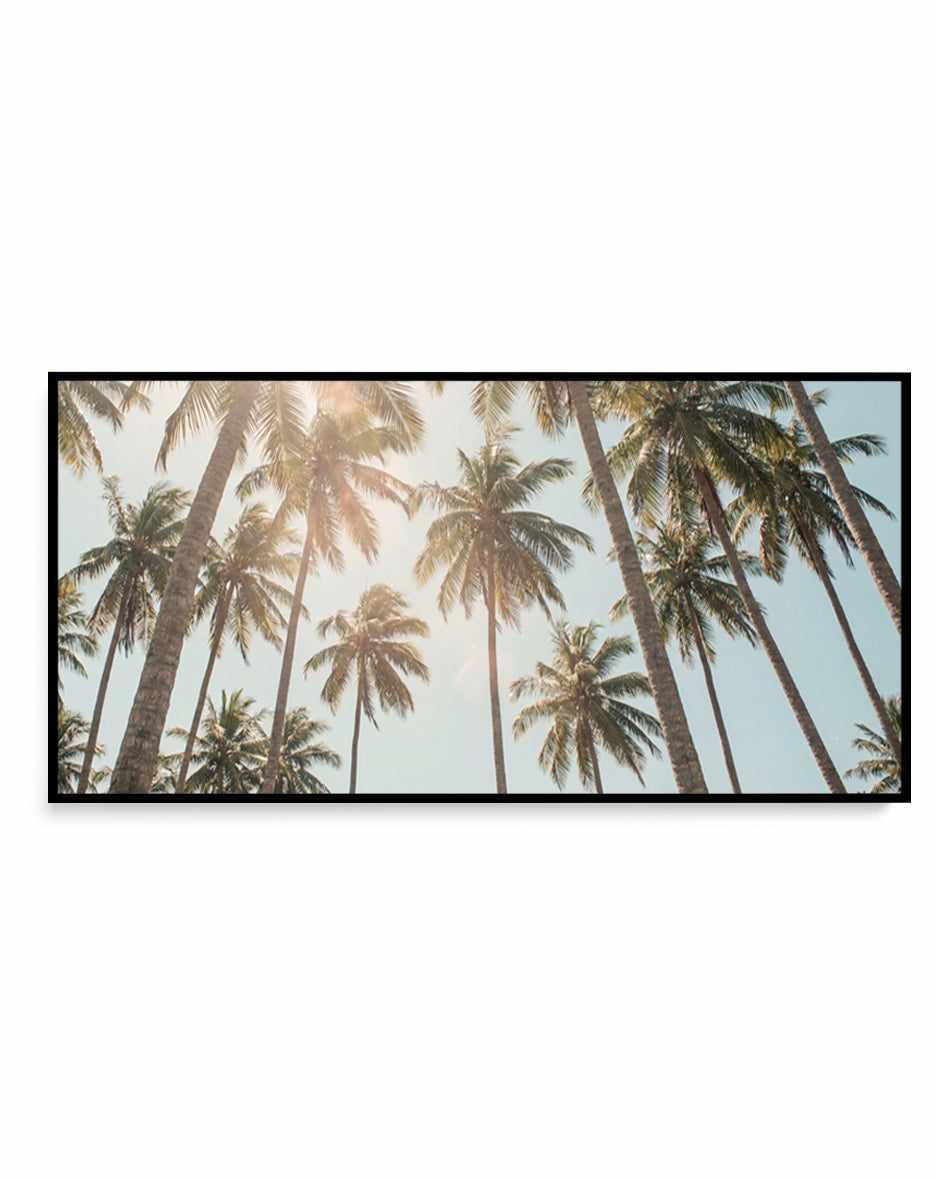 Palm Skies | Panoramic Canvas Art Print from Olive et Oriel where you can shop wallpaper and artworks online
