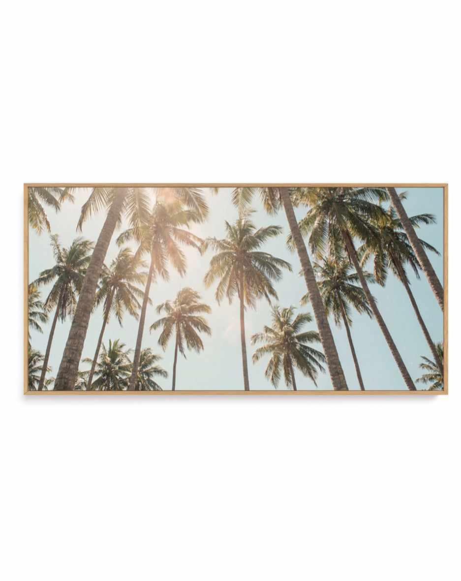 Palm Skies | Panoramic Canvas Art Print from Olive et Oriel where you can shop wallpaper and artworks online