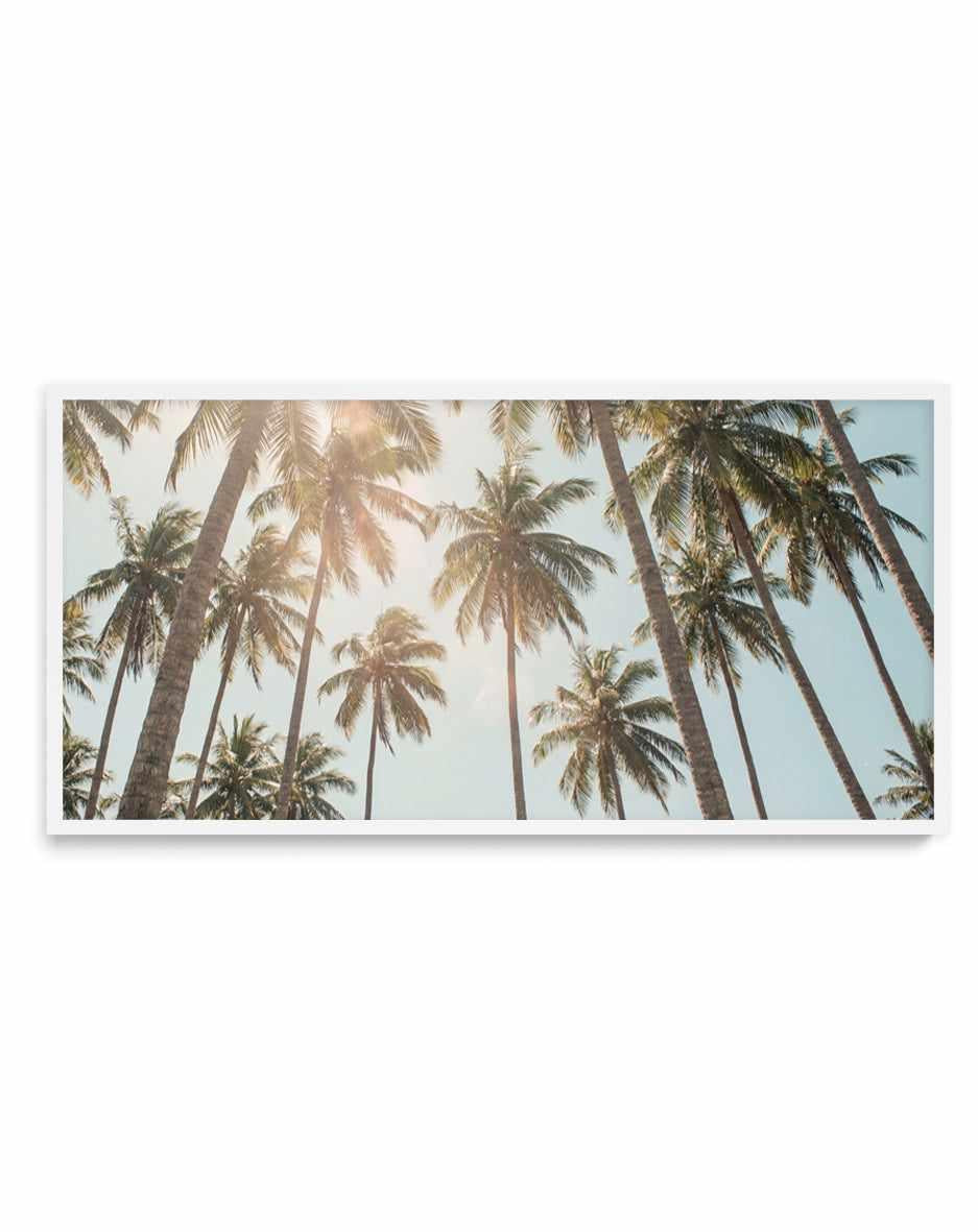 Palm Skies | Panoramic Art Print from Olive et Oriel where you can shop wallpaper and artworks online