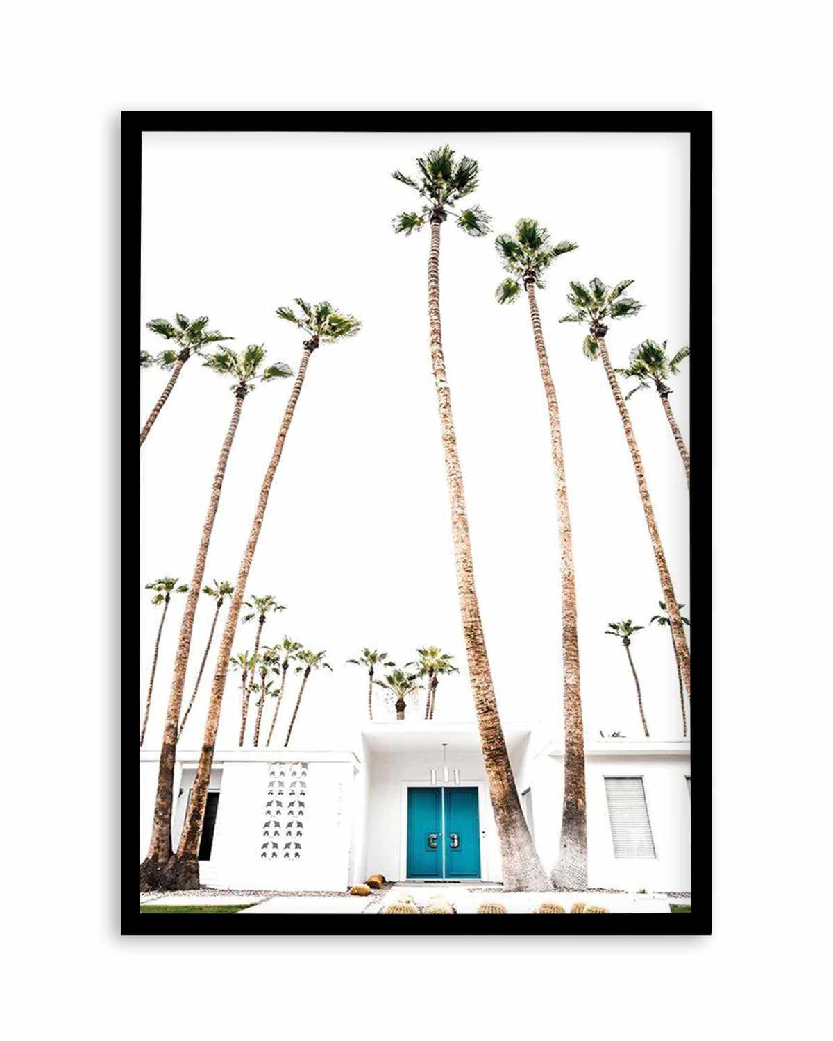 Palm Springs 2444 Art Print