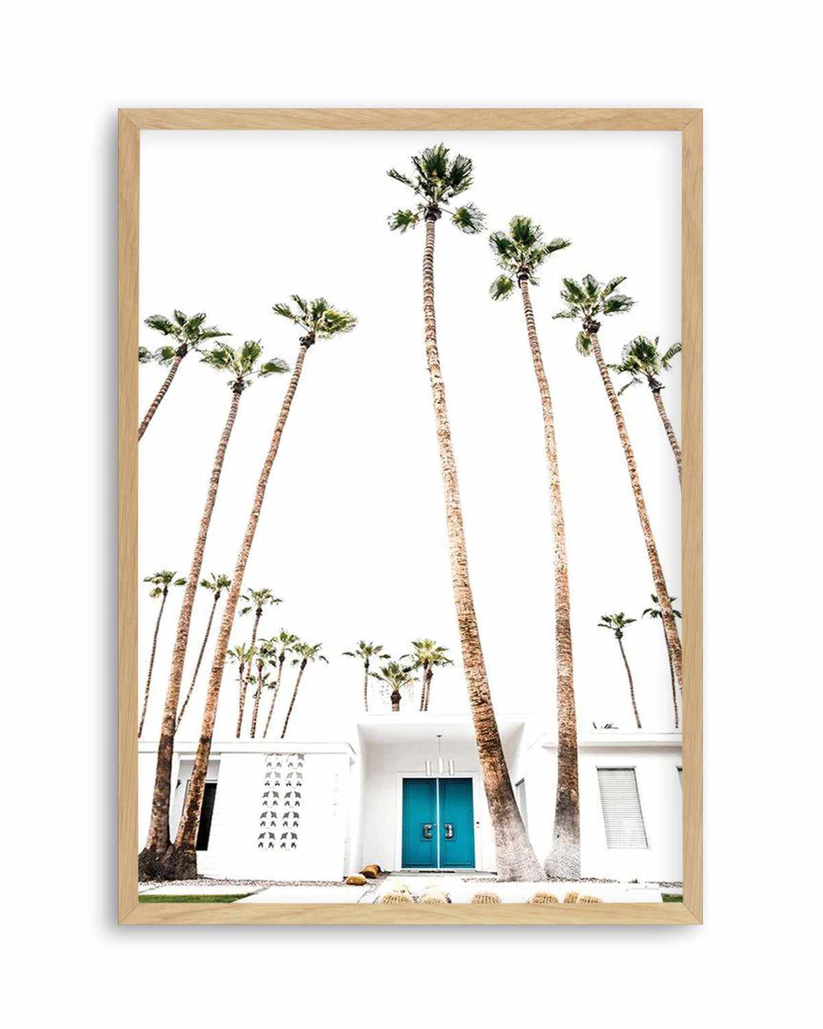 Palm Springs 2444 Art Print