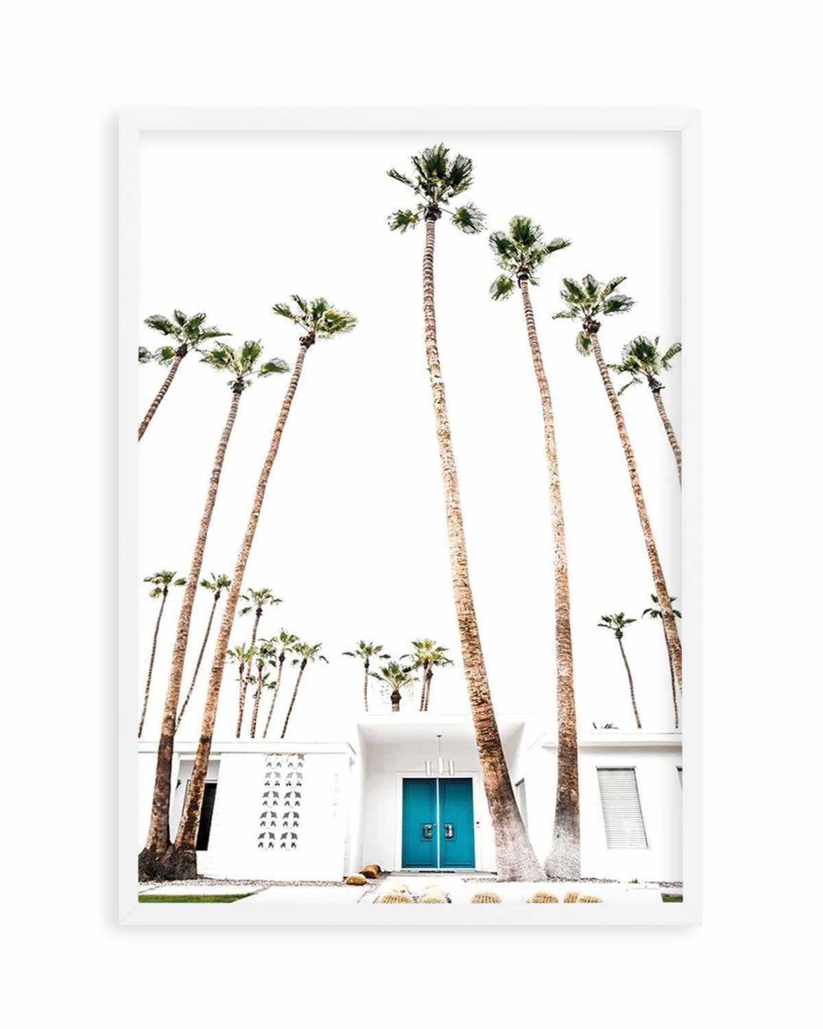 Palm Springs 2444 Art Print