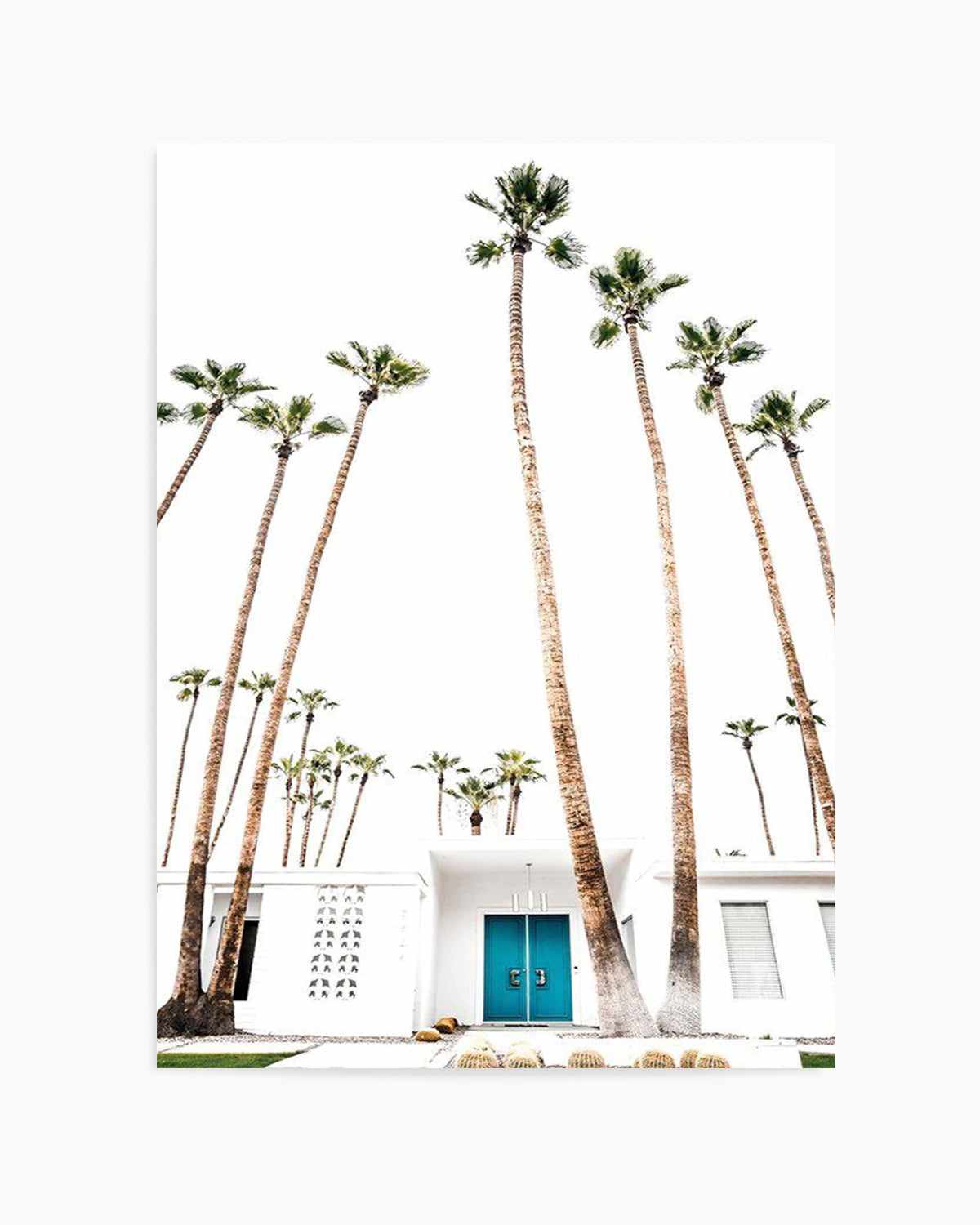 Palm Springs 2444 Art Print