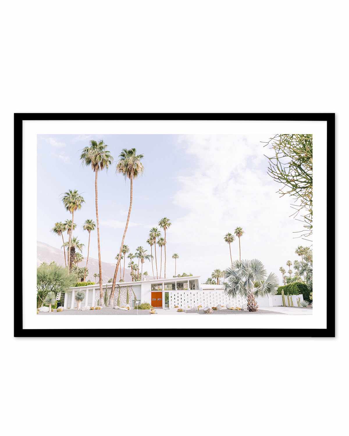 Palm Springs Bliss II Art Print