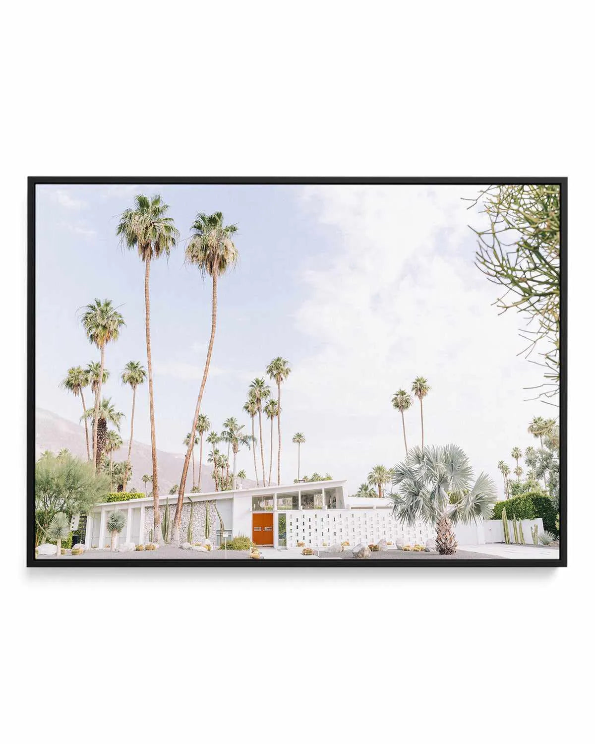 Palm Springs Bliss II | Framed Canvas Art Print from Olive et Oriel where you can shop wallpaper and artworks online