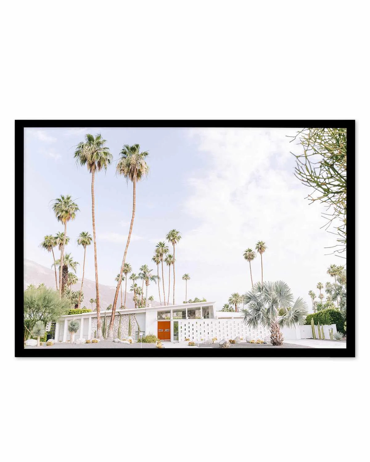 Palm Springs Bliss II Art Print from Olive et Oriel where you can shop wallpaper and artworks online
