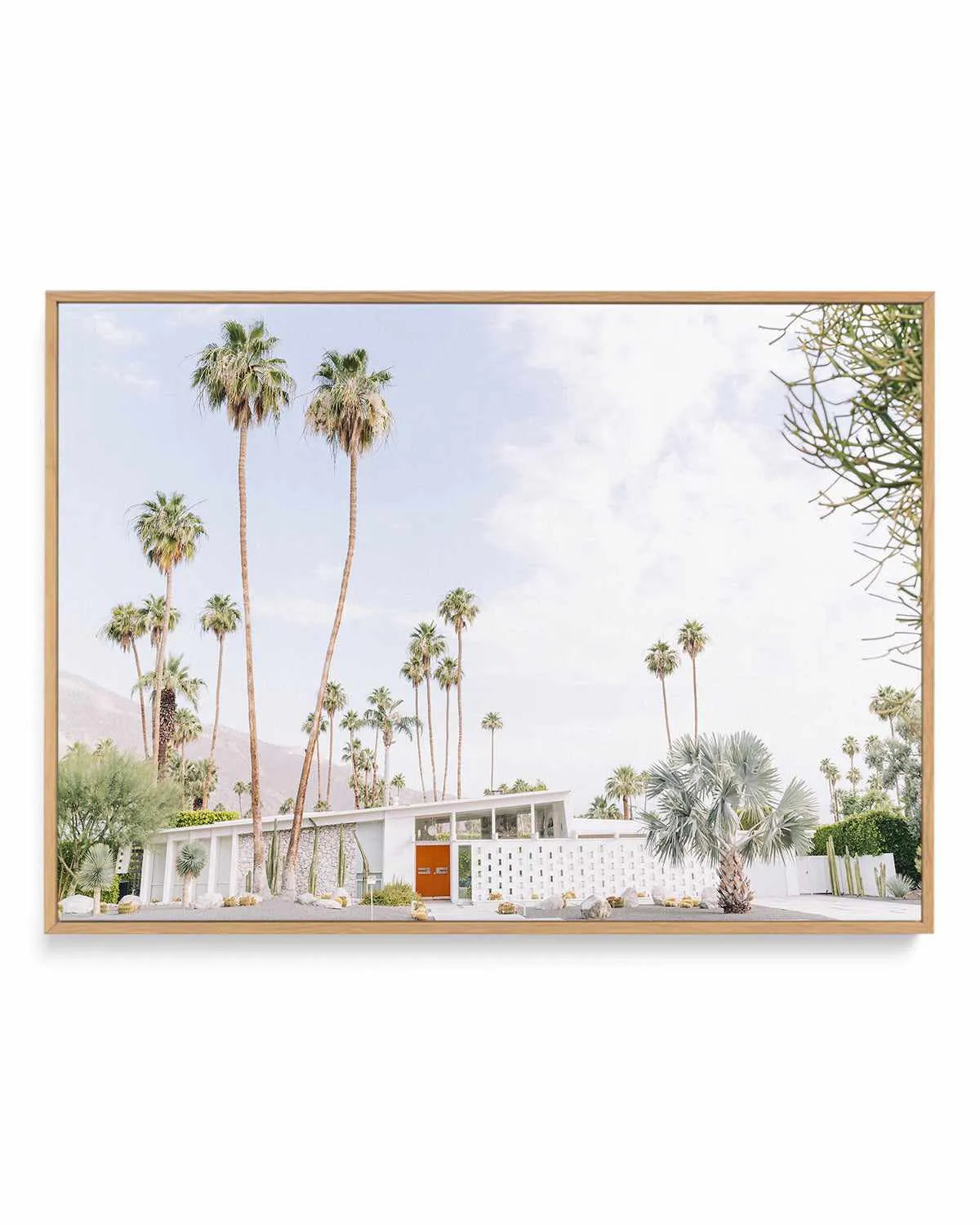 Palm Springs Bliss II | Framed Canvas Art Print from Olive et Oriel where you can shop wallpaper and artworks online