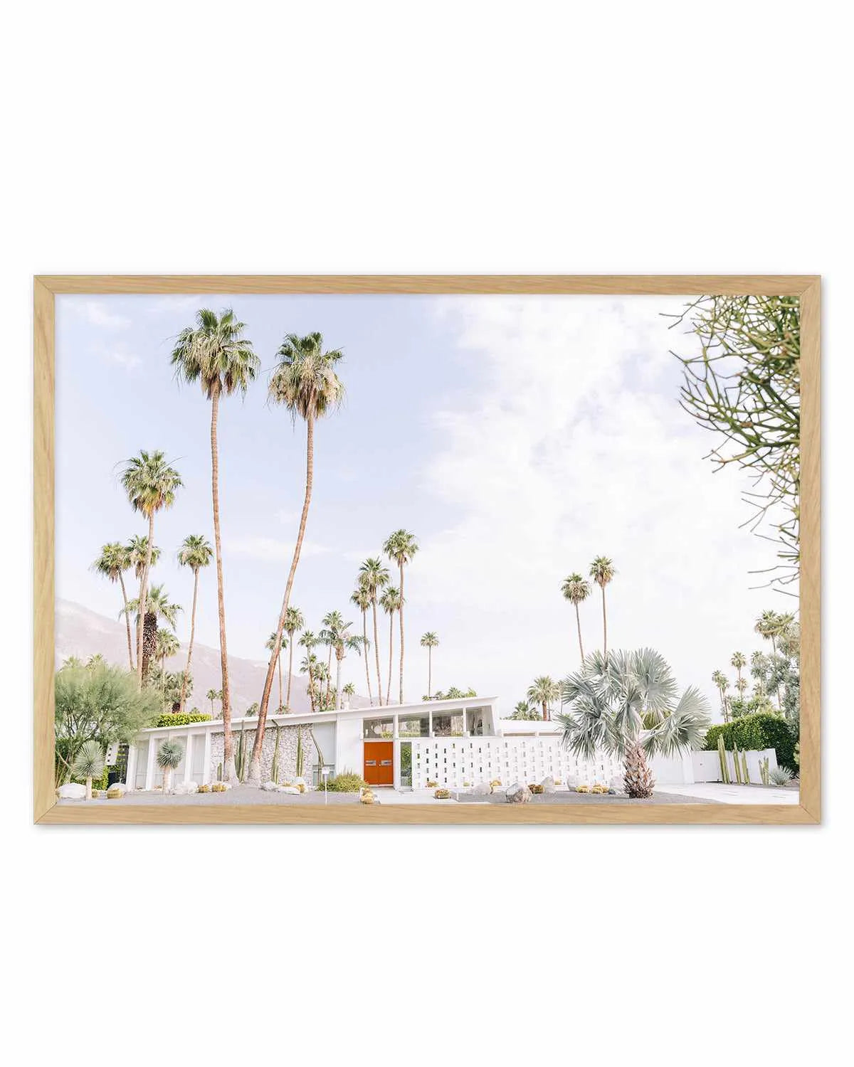 Palm Springs Bliss II Art Print from Olive et Oriel where you can shop wallpaper and artworks online