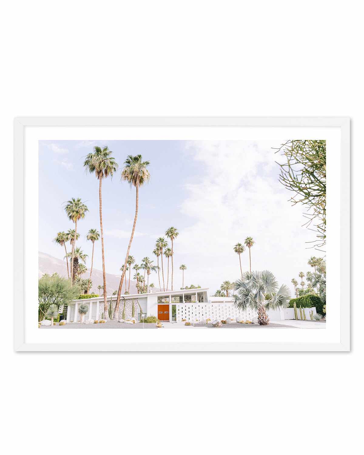 Palm Springs Bliss II Art Print