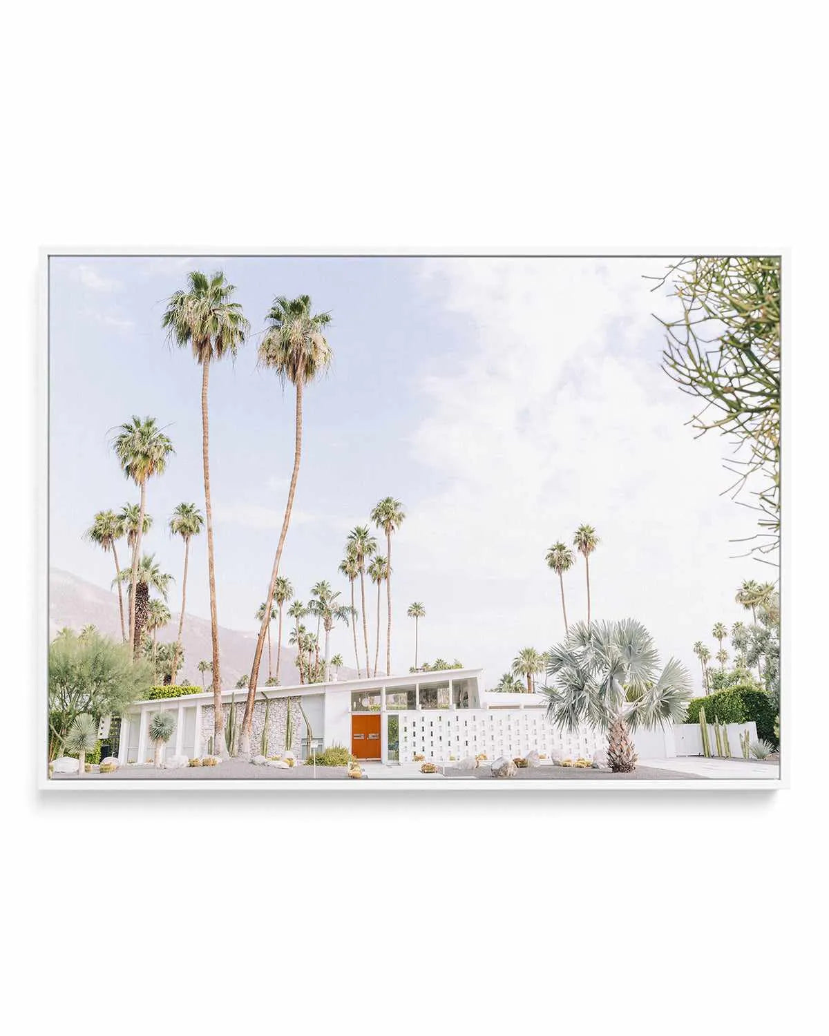 Palm Springs Bliss II | Framed Canvas Art Print from Olive et Oriel where you can shop wallpaper and artworks online