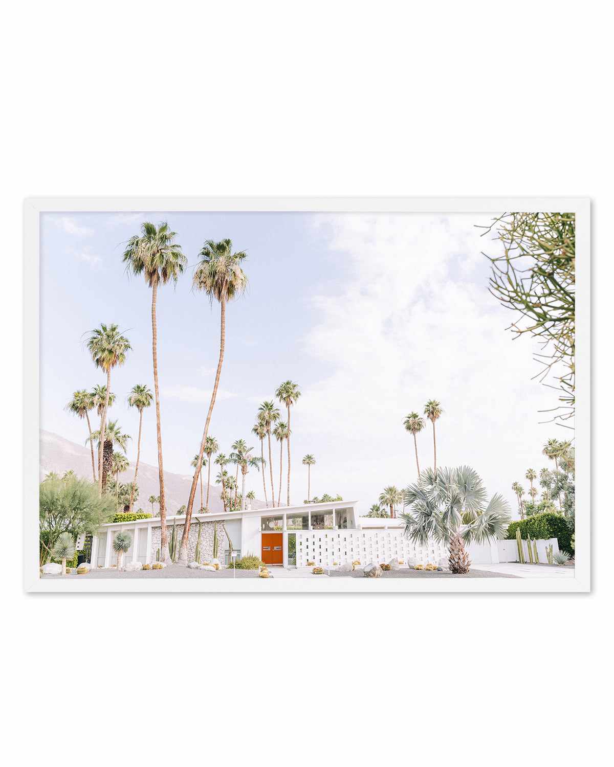 Palm Springs Bliss II Art Print