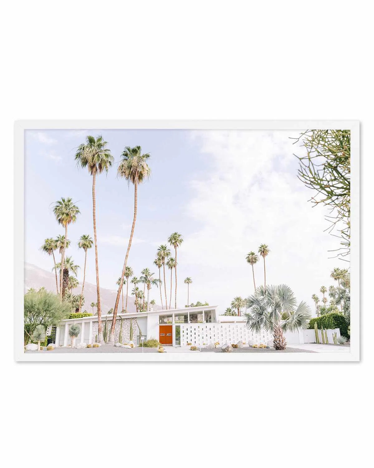 Palm Springs Bliss II Art Print from Olive et Oriel where you can shop wallpaper and artworks online