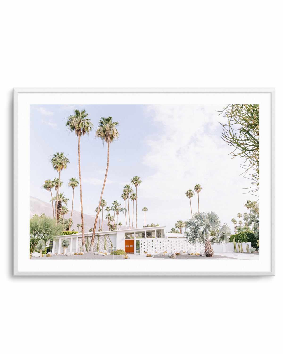 Palm Springs Bliss II Art Print