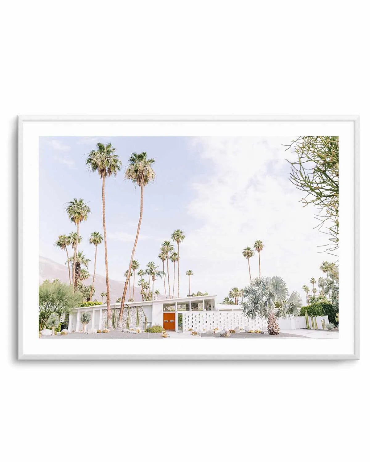Palm Springs Bliss II Art Print from Olive et Oriel where you can shop wallpaper and artworks online