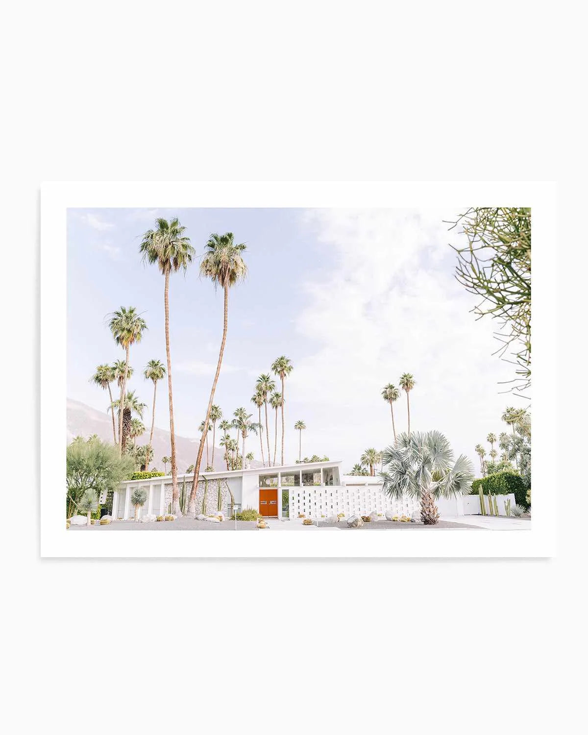 Palm Springs Bliss II Art Print from Olive et Oriel where you can shop wallpaper and artworks online
