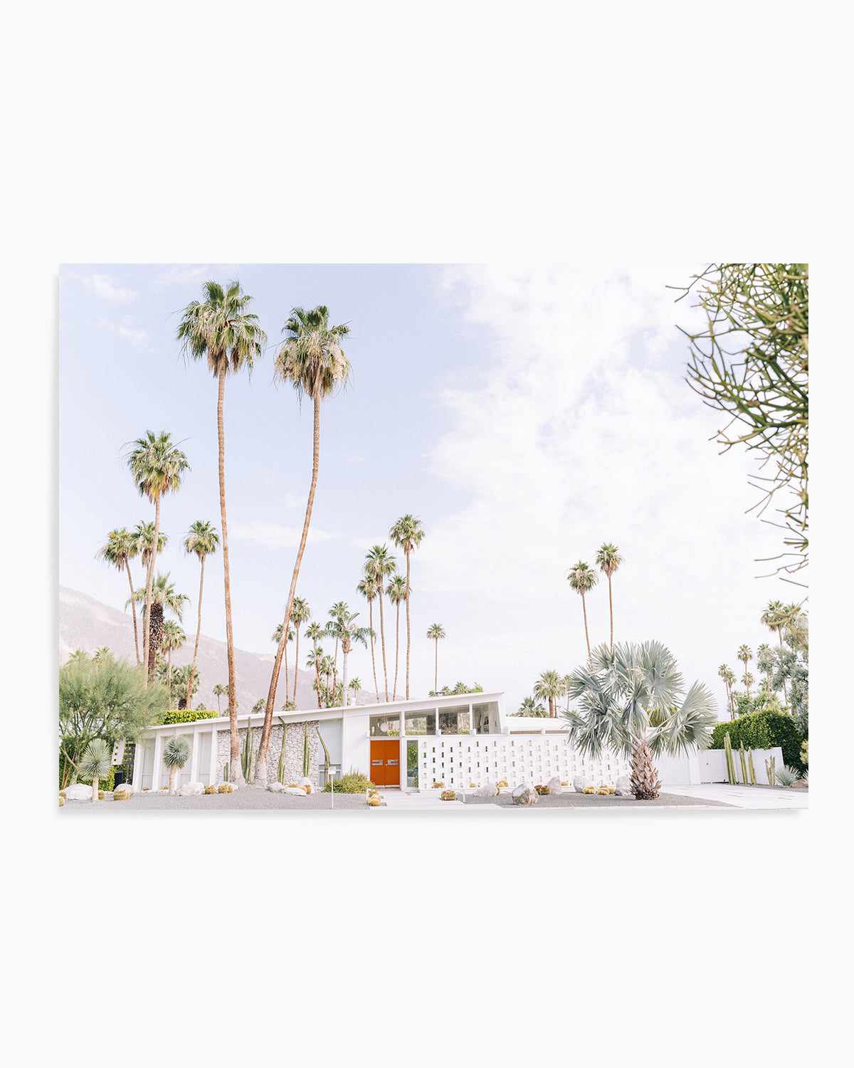 Palm Springs Bliss II Art Print