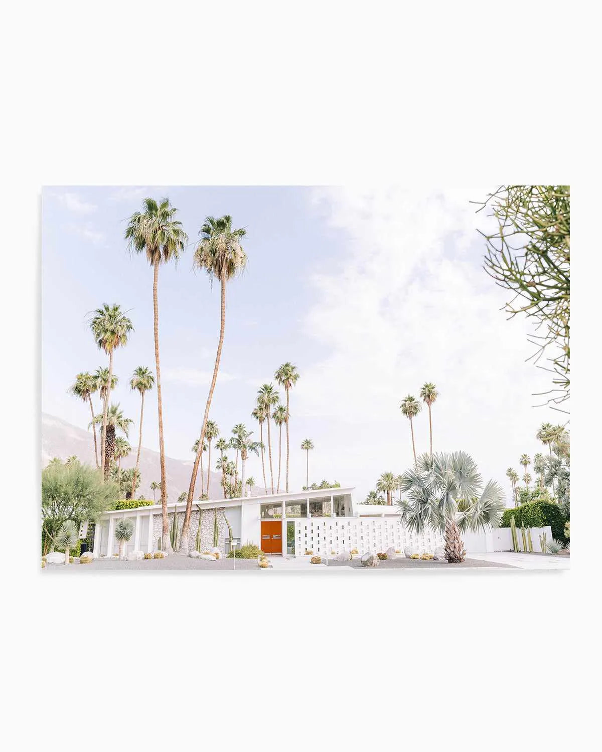 Palm Springs Bliss II Art Print from Olive et Oriel where you can shop wallpaper and artworks online