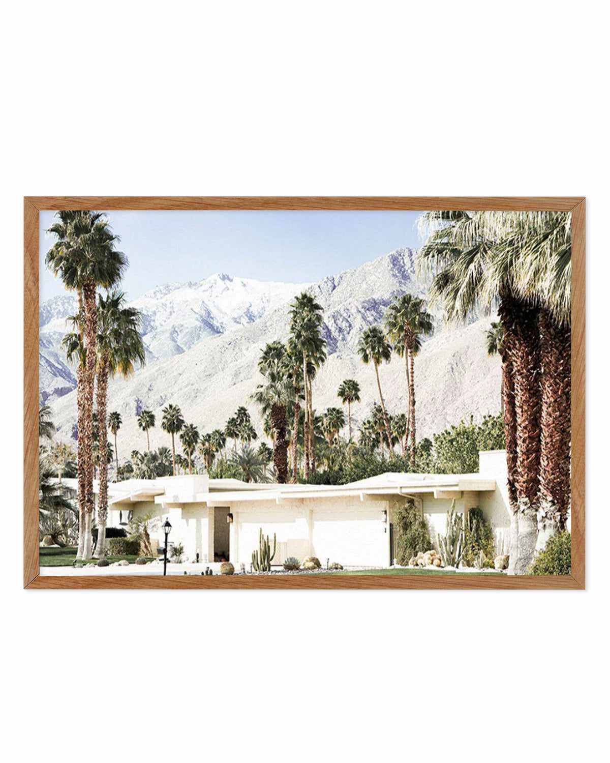 Palm Springs House Art Print