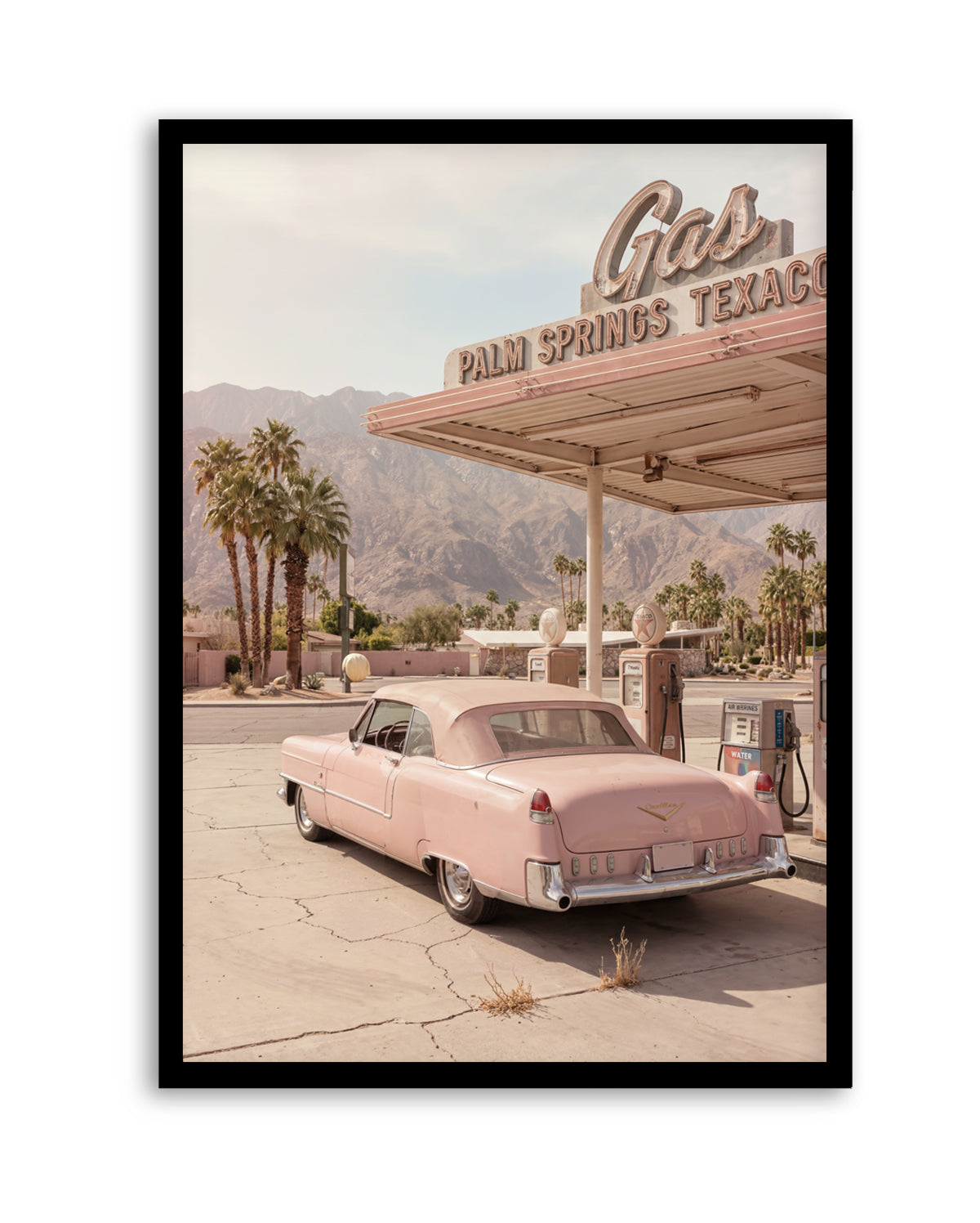 Palm Springs Pink Cadillac III | Art Print