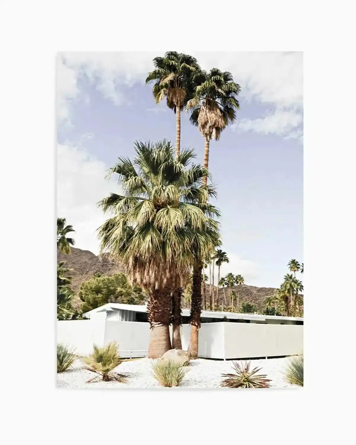 Palm Springs Streets Art Print from Olive et Oriel where you can shop wallpaper and artworks online