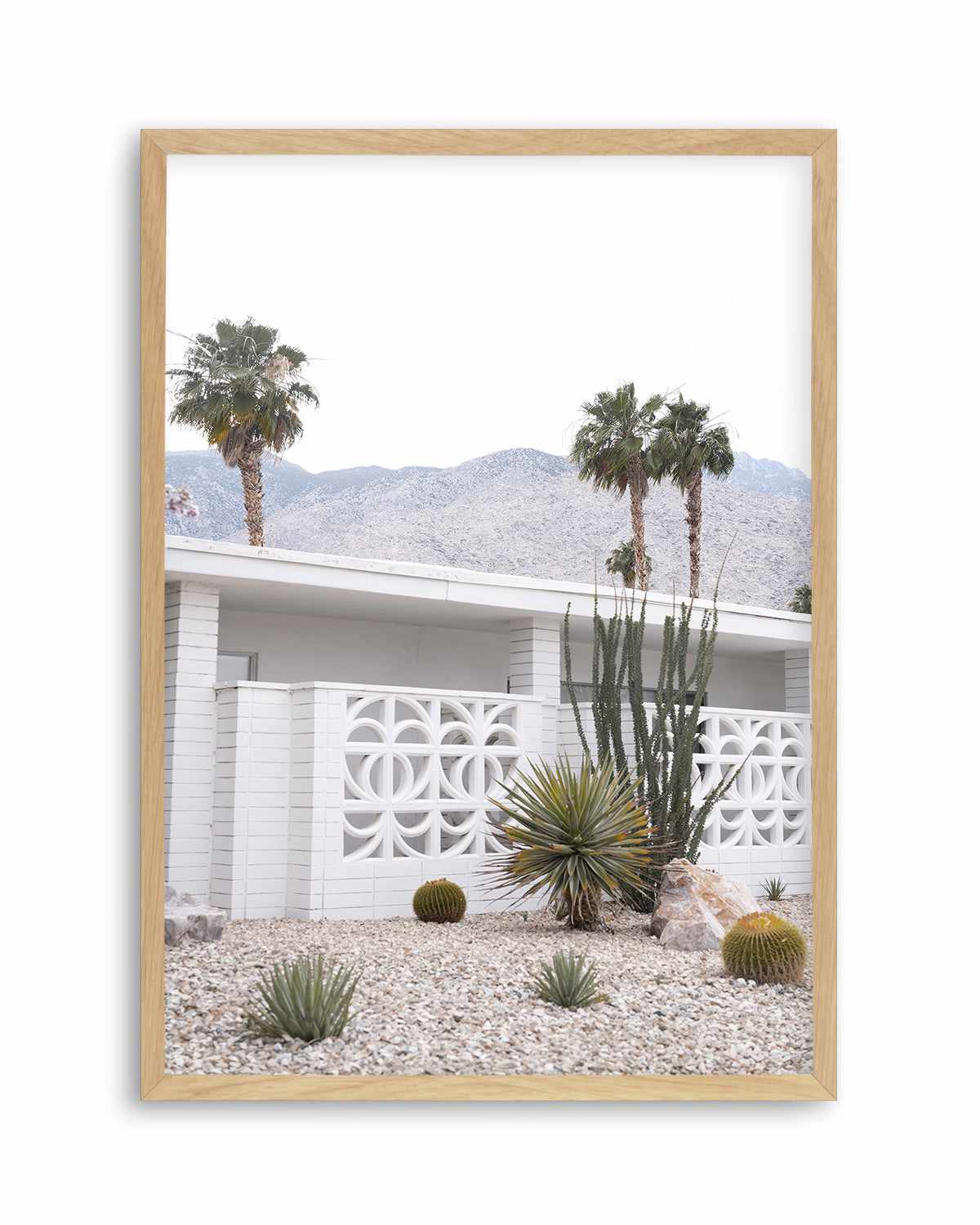 Palm Springs V Art Print