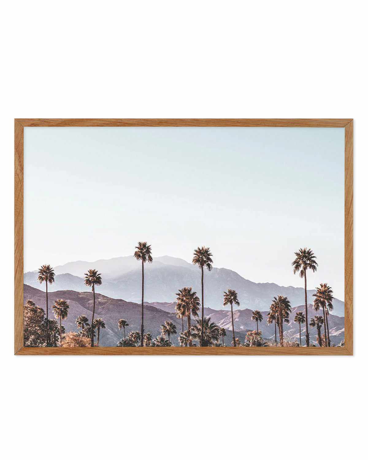 Palm Springs | California Art Print