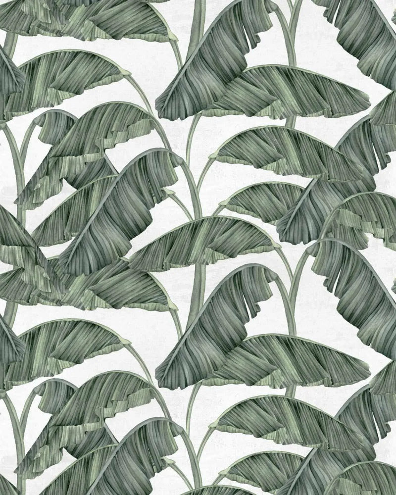 Palmas De Cuba Wallpaper from Olive et Oriel where you can shop wallpaper and artworks online