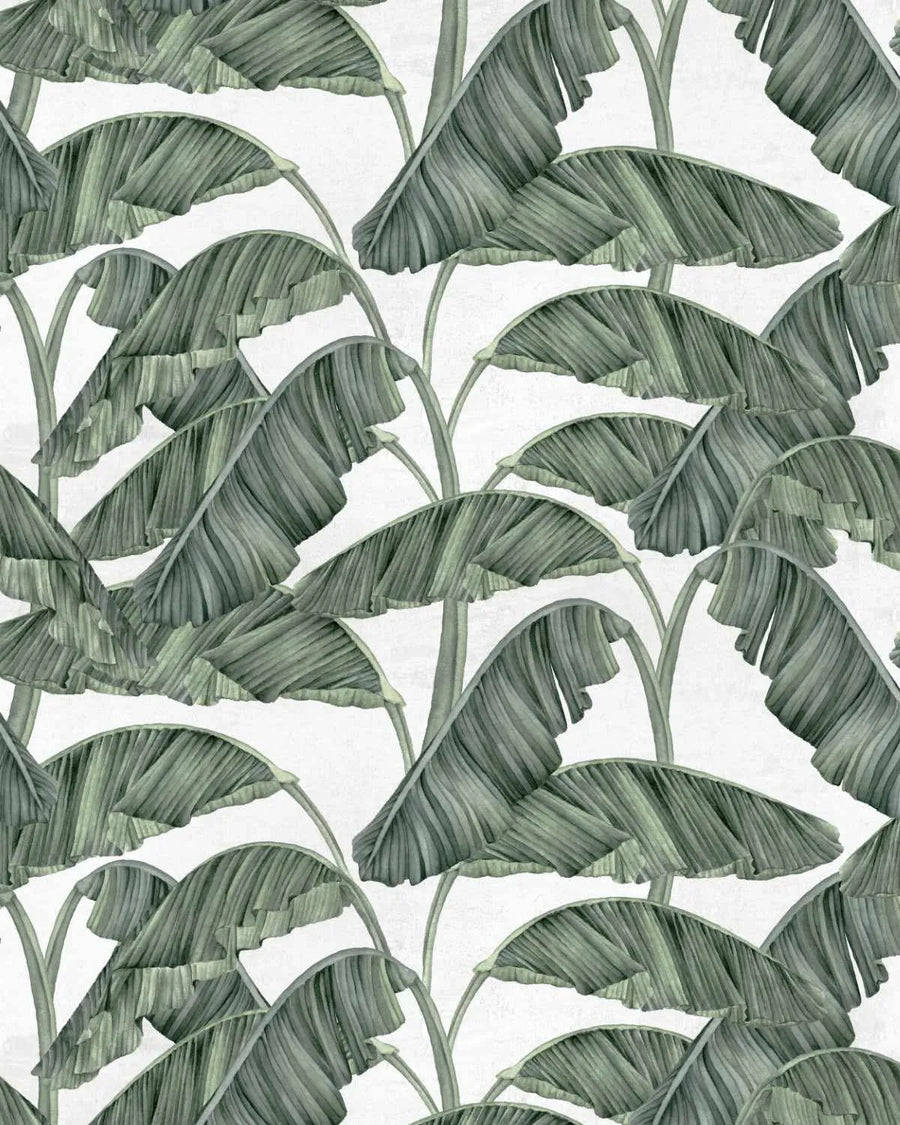 Palmas De Cuba Wallpaper from Olive et Oriel where you can shop wallpaper and artworks online