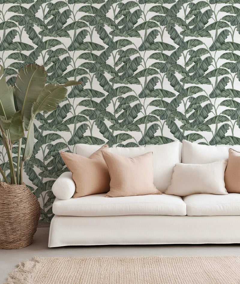 Palmas De Cuba Wallpaper from Olive et Oriel where you can shop wallpaper and artworks online