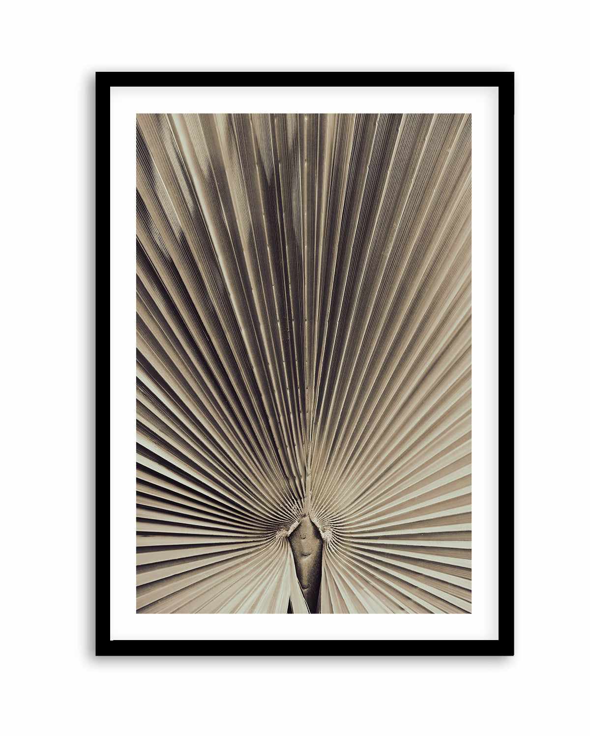 Palmblad 001 By Studio III | Art Print