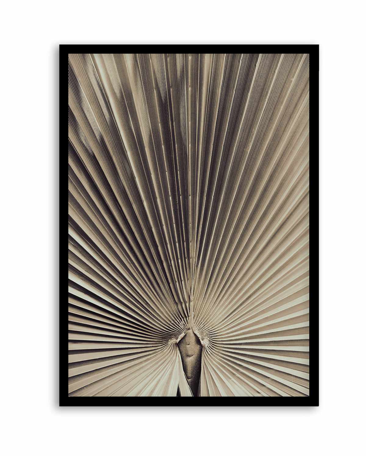 Palmblad 001 By Studio III | Art Print