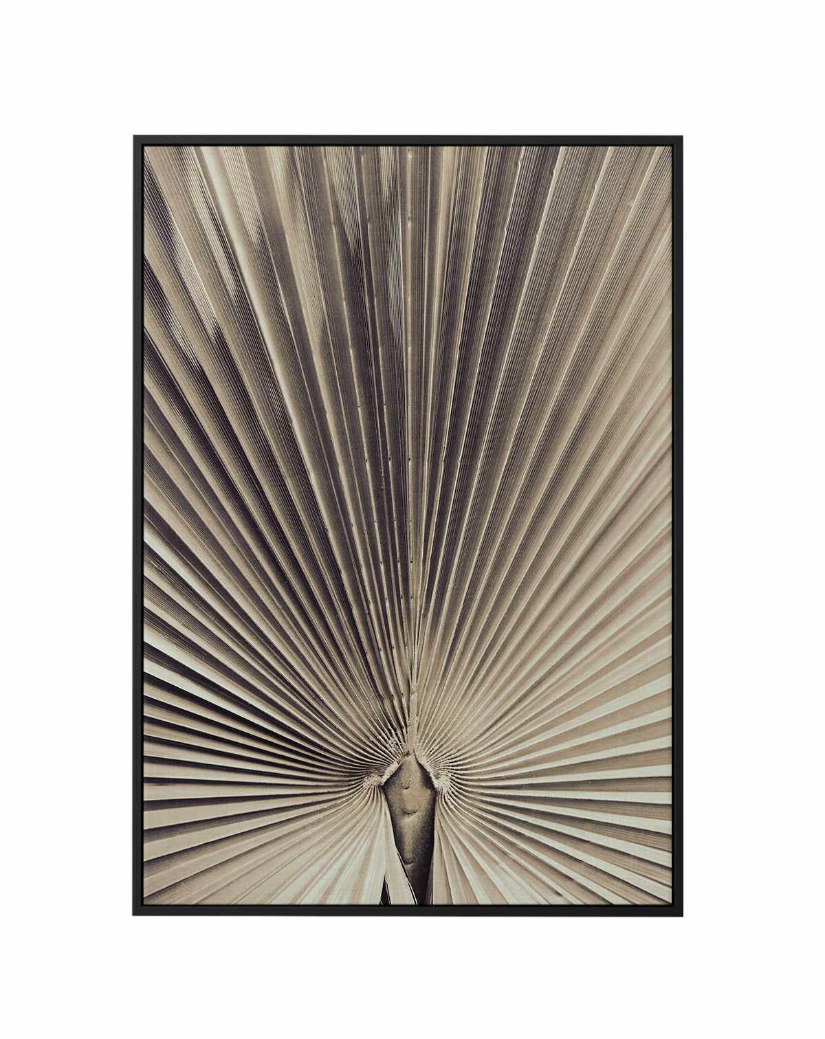 Palmblad 001 By Studio III | Framed Canvas Art Print from Olive et Oriel where you can shop wallpaper and artworks online