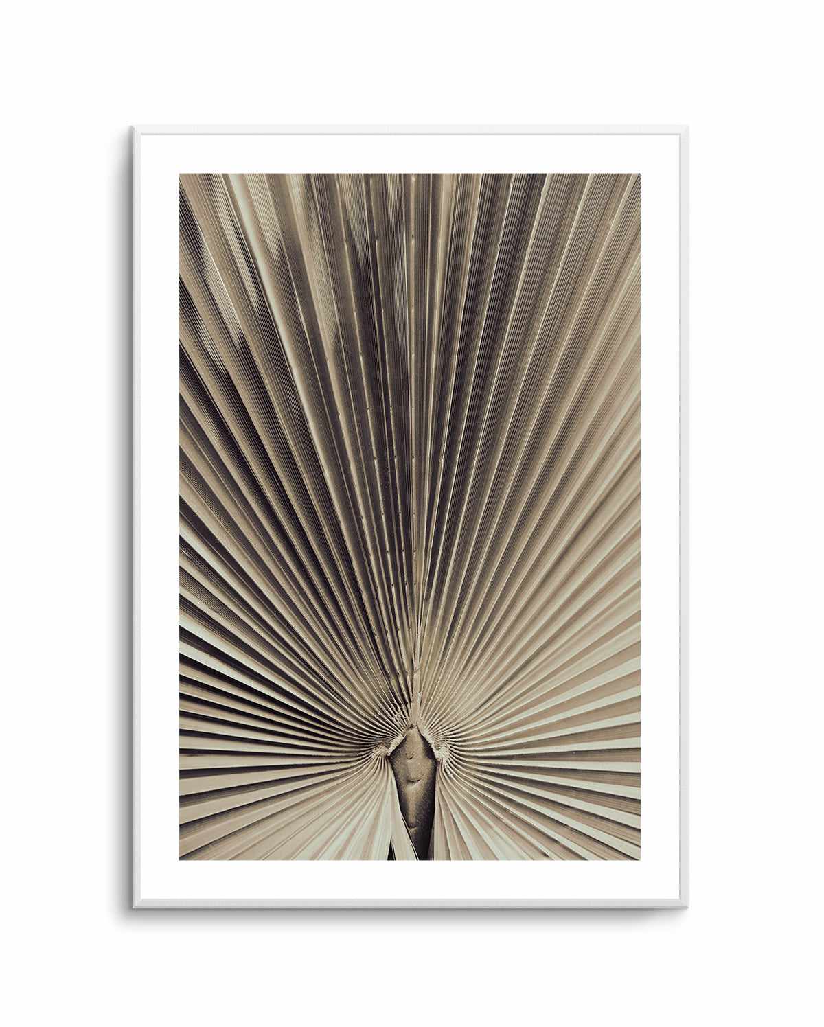 Palmblad 001 By Studio III | Art Print