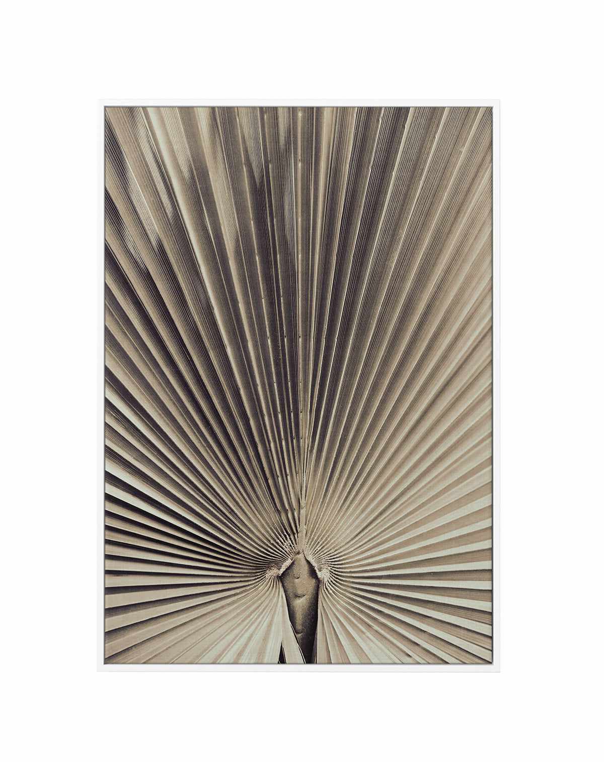 Palmblad 001 By Studio III | Framed Canvas Art Print