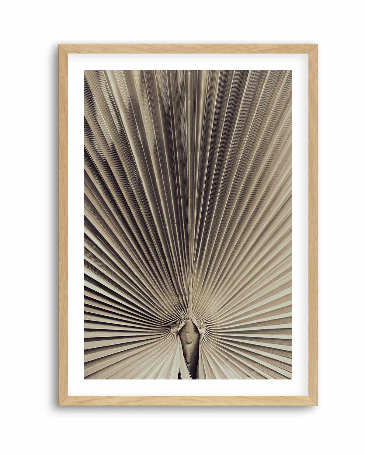 Palmblad 001 By Studio III | Art Print