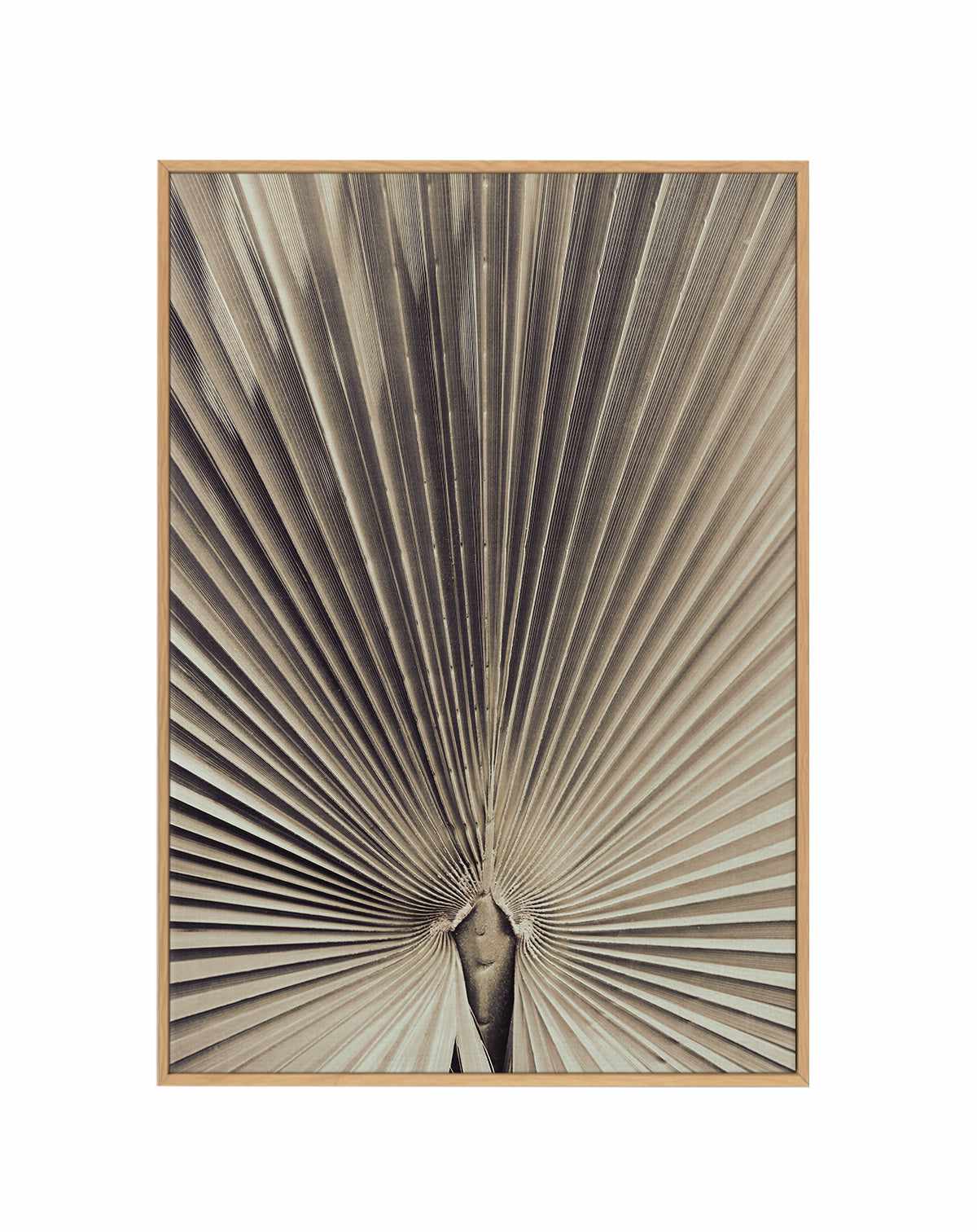 Palmblad 001 By Studio III | Framed Canvas Art Print from Olive et Oriel where you can shop wallpaper and artworks online