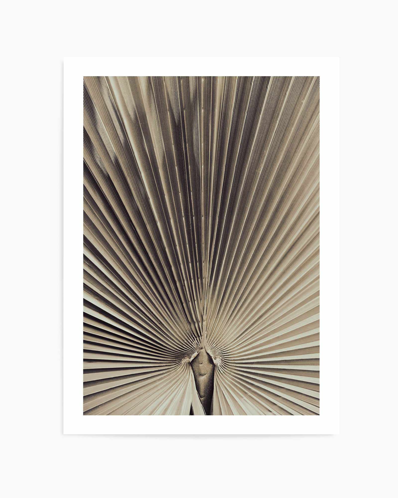 Palmblad 001 By Studio III | Art Print