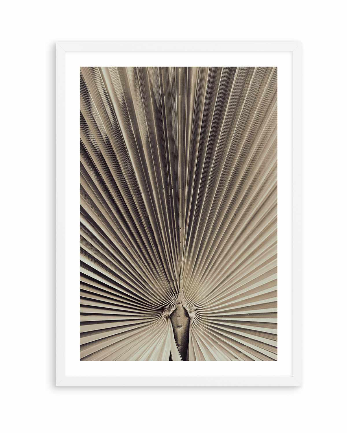 Palmblad 001 By Studio III | Art Print